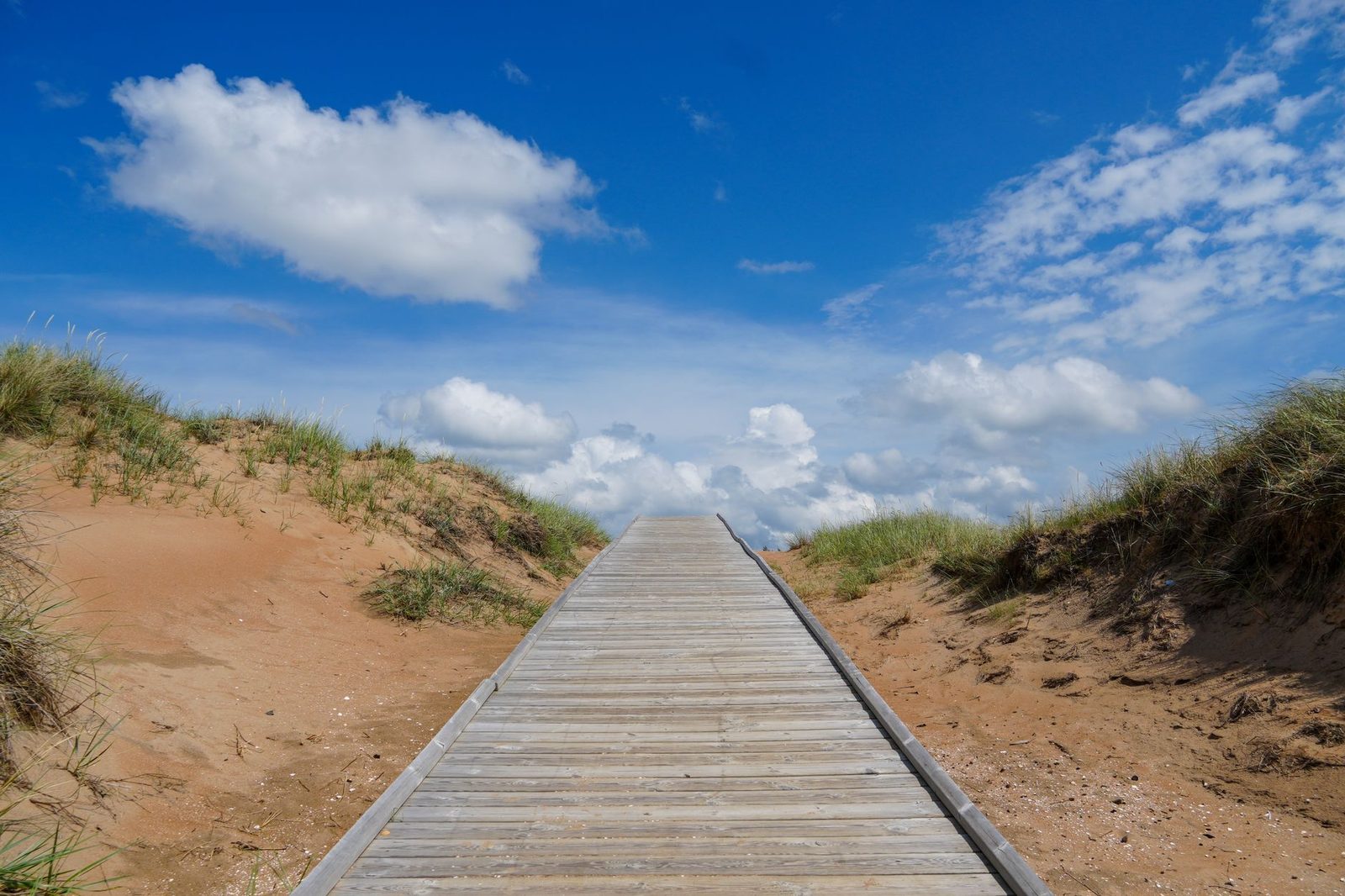 A wooden boardwalk through sandy dunes