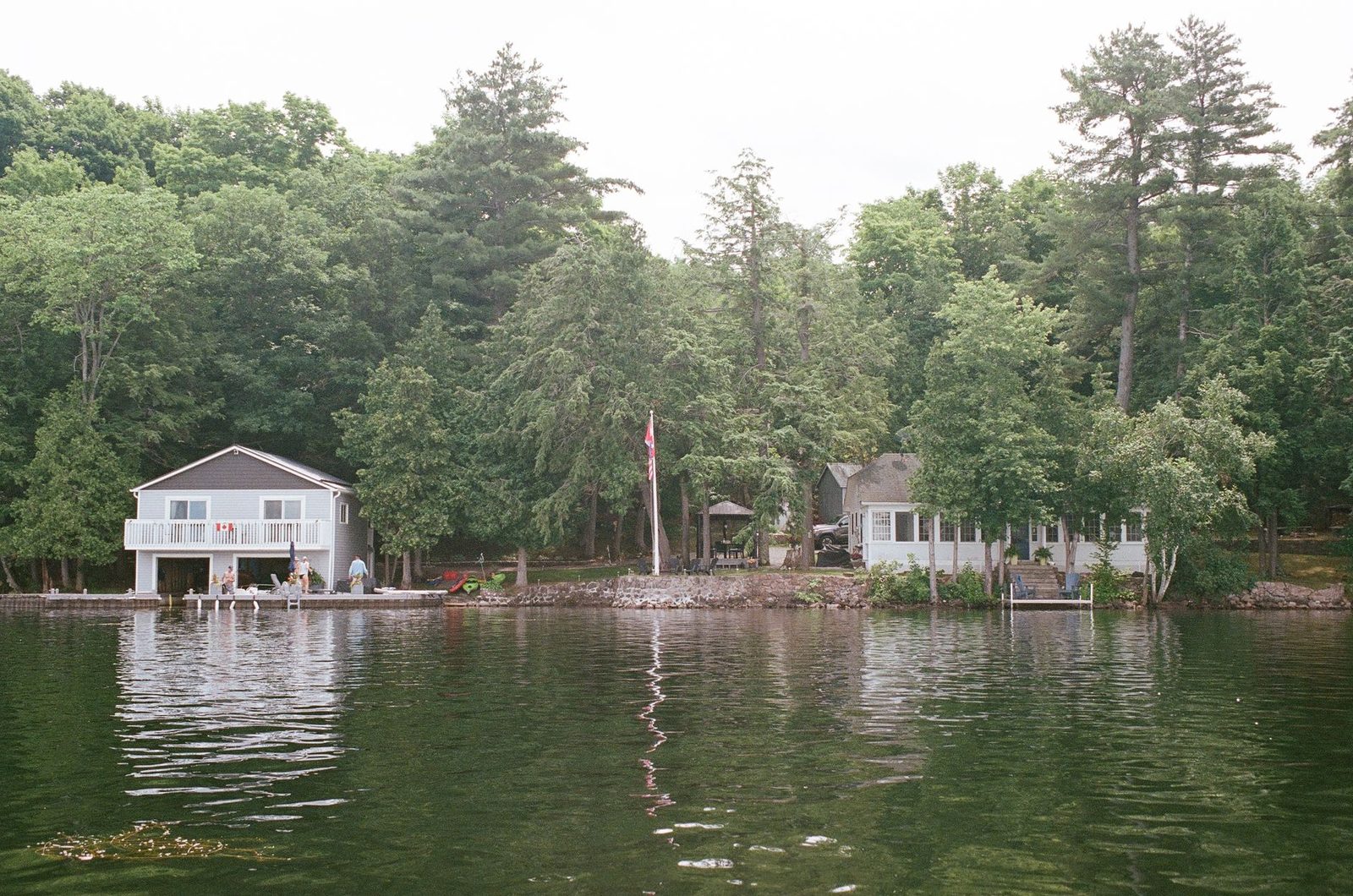 Lakeside houses among the trees
